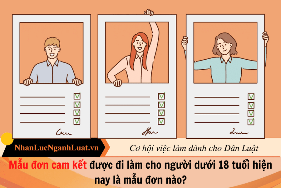 Hợp đồng lao động cho người dưới 18 tuổi, Tổng quan và quy định pháp luật