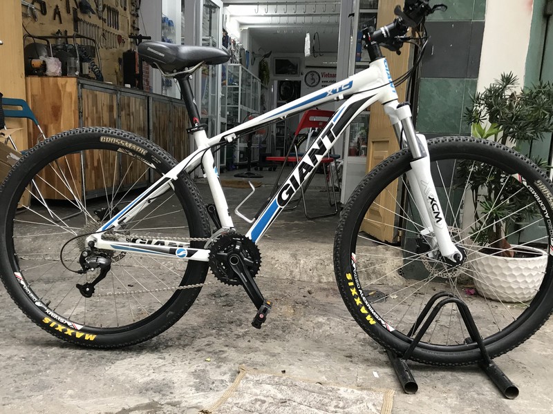 thuê xe đạp tphcm